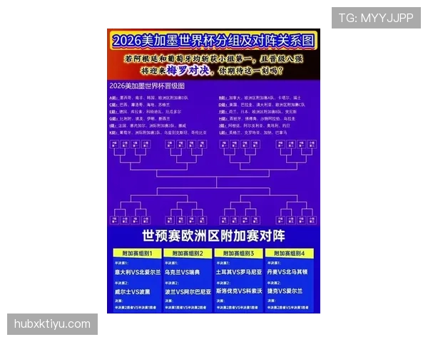 波黑冲击2026世界杯：晋级前景、阵容解析与出线形势分析